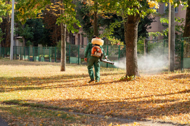 Best Pest Prevention Services  in Atkinson, NE