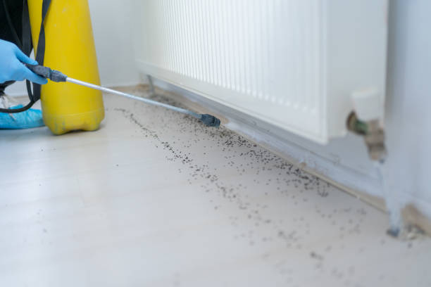 Best Emergency Pest Control  in Atkinson, NE