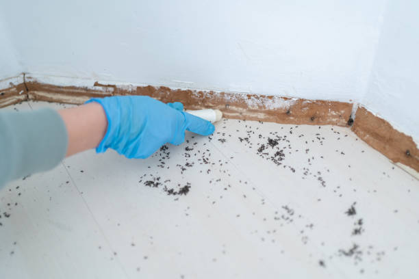 Pest Control for Restaurants in Atkinson, NE