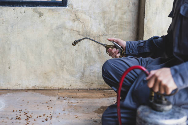 Best Pest Control for Restaurants  in Atkinson, NE